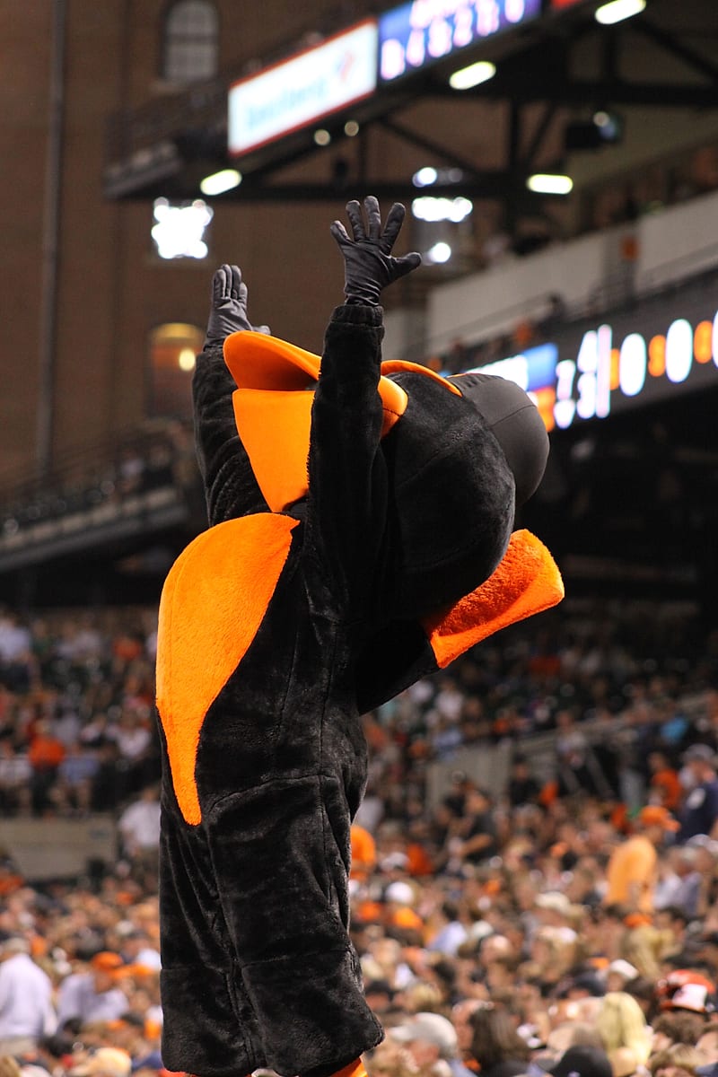 The Baltimore Orioles mascot working the crowd